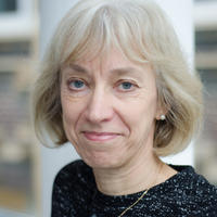 Professor Heather Viles Professor Heather Viles